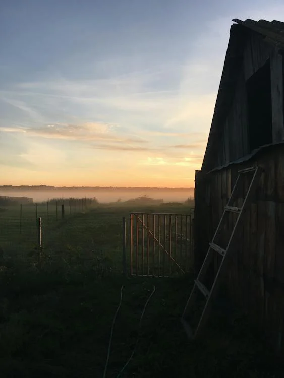 新年的反省感恩與祈禱